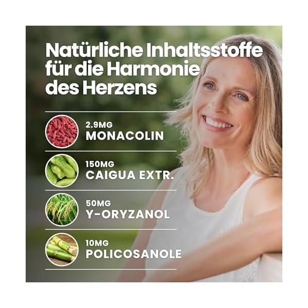 CHOLESTERIN - Nahrungsergänzungsmittel - Roter Reis, Caigua, γ-Oryzanol, Policosanol, Coenzym Q10 und Chrom - 90 Tabletten - Qualität Vitastrong – Bild 5