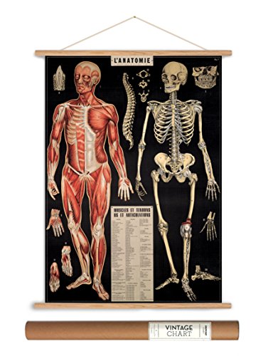 Cavallini Papers Vintage Style Decorative Poster & Hanger Kit 20 x 28, 20