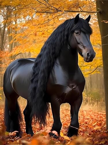 Peinture diamant 5D cheval noir kit d'art DIY salon 30x40