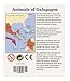 Galapagos - Compatible with View-Master 2 Reel Set - New