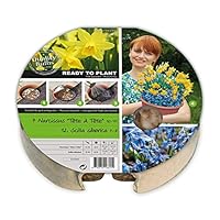 YouGarden Plant-o-Mat Narcissus and Muscari Planting Kit, The Easy Way to Plant Bulbs