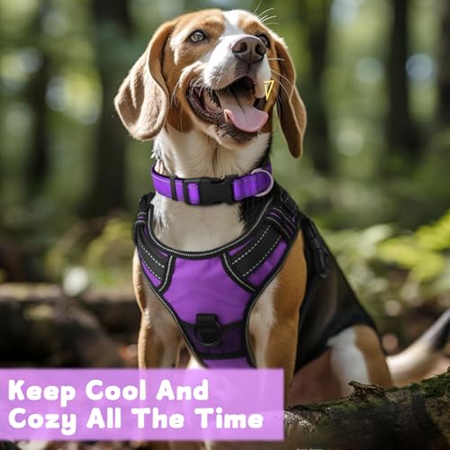 DKDDSSS Hundegeschirr, Geschirr Hund Groß, Anti Zug Hundegeschirr, Geschirr für Hunde, Brustgeschirr für Labrador, Einfache Anpassung und Benutzung, Atmungsaktiv, Lila, L