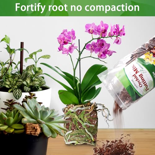 Orchid Potting Mix,Premium Orchid Bark Potting Mixture of Pine Bark,Perlite & Coco Peat Enhanced Drainage and Ventilation,Ideal for Repotting and Growing Indoor Plants Dendrobiums,Phalaenopsis,1QT