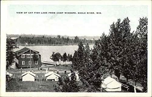 View of Cat Fish Lake from Camp Winnepe Eagle River,