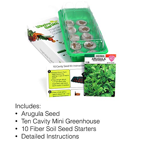 Buy Window Garden Buttercrunch Lettuce Vegetable Starter Kit Grow