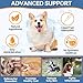 Carmelie Natural Yeast Relief for Dogs, Support Healthy Itch Relief, Ear Paw Discomfort Care, Itch Relief for Dog, Allergy Supports, Inflammation Relief for Dogs, 60ml Bacon Flavor