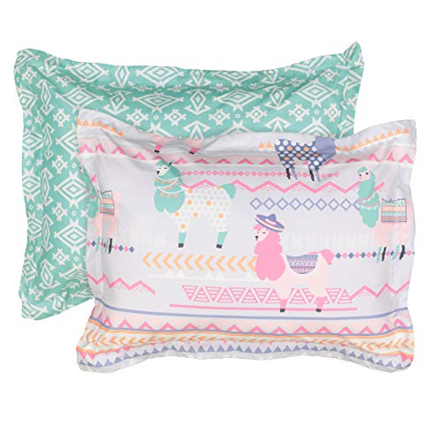 Waverly La La Llama Modern Graphic 2-Piece Reversible Comforter Set, Twin, Multicolor #TOP4