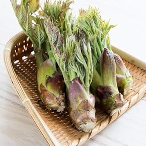 たらの芽 - Amazon.co.jp