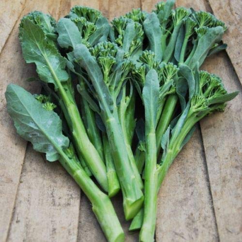 Wafer Vegetable - Broccoli/Brokali - Atlantis - 10 Seeds