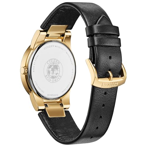 Image of Citizen Men's Eco-Drive Modern Eco Axiom Watch