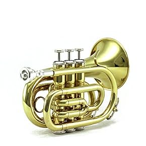 コルネット 金色 3バルブ ケース付き コルネット 金色 3バルブ ケース付き Amazon | トランペット