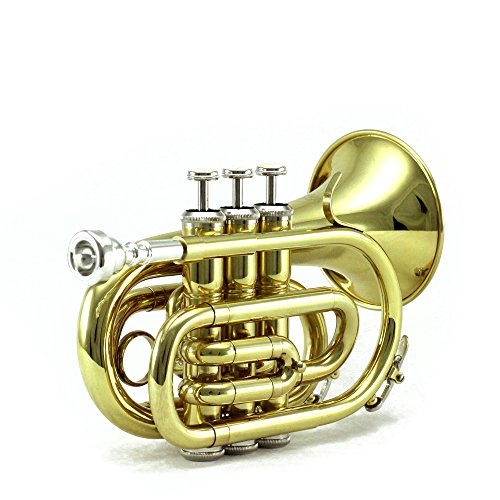 Sky Band Approved Brass Bb Pocket Trumpet with Case, Cloth, Gloves and Valve Oil, Guarantee, Gold
