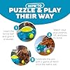 Outward Hound Tennis Maze Craze Interactive Squeaky Dog Toy, Blue #3