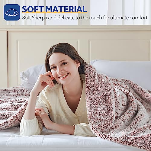 Sealy Electric Blanket Queen Size, Dual Control Soft Sherpa Heated Blanket with 10 Heating Levels & 1 to 12 Hours Auto-Off Settings Over-Heated Protection 84"x90" Machine Washable, Rust Red