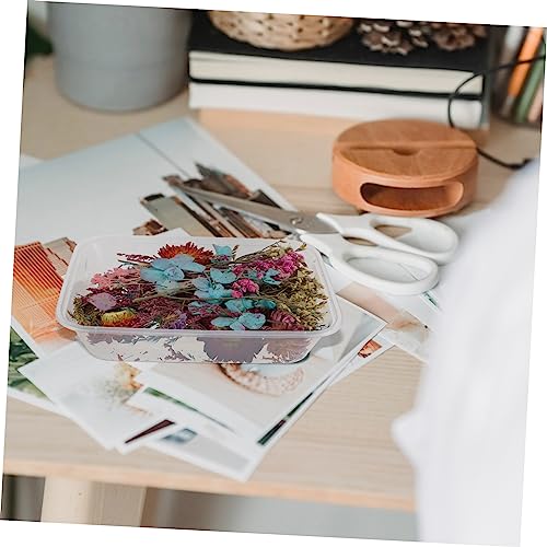 Flores secas para manualidades PRETYZOOM assorted pack miniatura 4