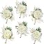 Serwalin Ivory Rose Wrist Corsage Set – 6 Fake Flowers For Wedding, Prom, Bridesmaids, Mothers – Stretchy Pearl Band + Clip