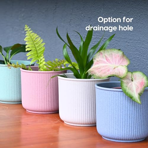 Image of Eha Earth Friendly Statement Pot 4 Inch Pots and Planters with Growmix |Set of 2| Table Top Planters for Gifting |Bamboo Based | Planter for Indoor & Balcony Window Flower Pots| Sand Castle