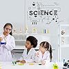 Amazon.com: SUPERDANT Science Stickers Vinyl Wall Stickers Decal ...