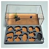 AttreX Ant Farm Concrete Ant Nest Ant Housing Insect Cage Farm Feeding Nests Acrylic Display Box Pet Anthill Workshop for Live Ants Educational Formicarium Birthday Present Gift (Color : F)