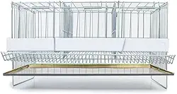 Gaiolas Para Codorna Pequena Poedeira Chapa Coletora