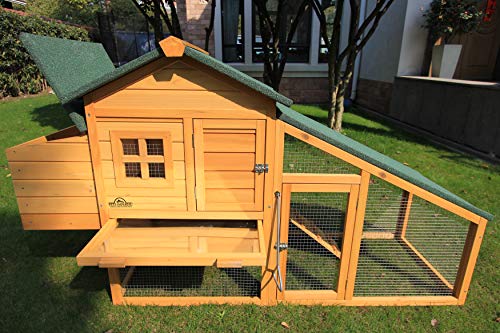 Pets Imperial® Warwick Hühnerstall mit Auslauf - Hühnerstall aus Holz mit Nistkasten und ausziehbarem Tablett - 175 cm… – Bild 7