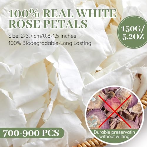 Pétalos naturales de rosa blanca seca 150g miniatura 2