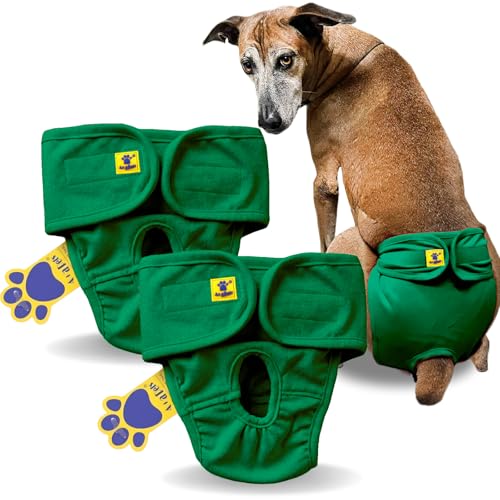 Image of A+a Pets' MAA' Cotton Dog Underwear Diaper Combo - Stretchable, Comfortable, Washable & Reusable (L, Green Set)