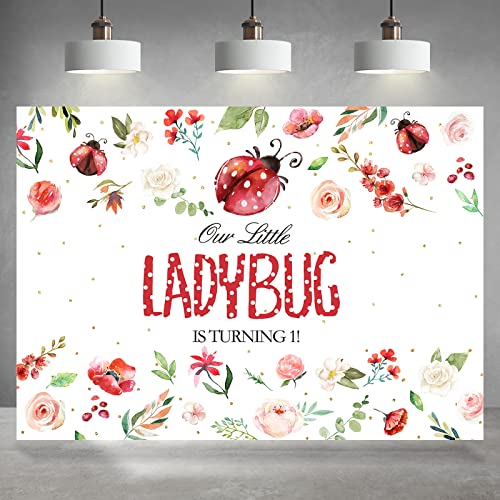 Rsuuinu Ladybug Theme 1st Birthday Party Backdrop Girls First Birthday