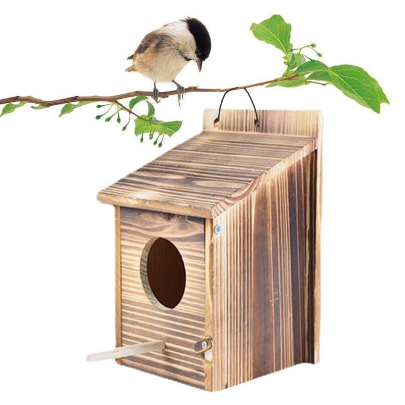 Nichoir à oiseaux en bois contre le stress des perroquets avec couchage sécurisé