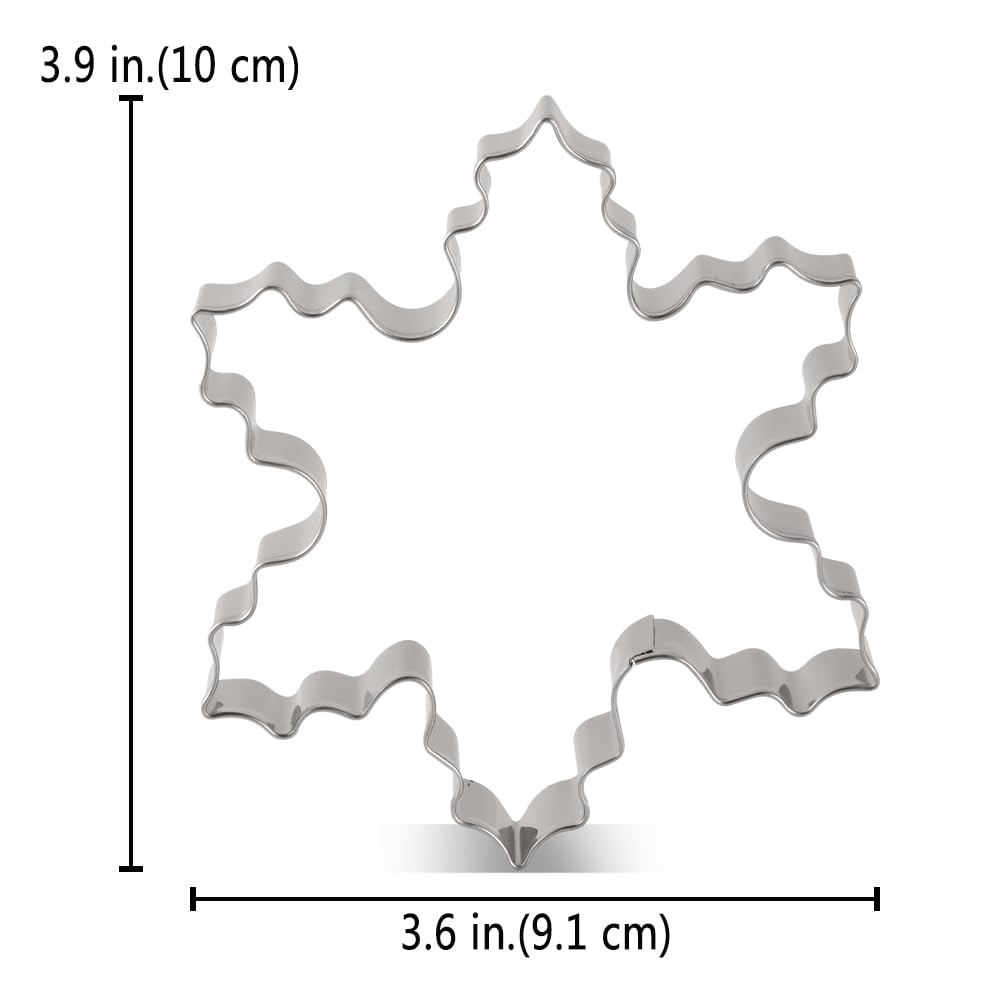 LILILIAO Christmas Winter Snowflake - Juego de moldes para galletas (2 unidades, 10,16 y 9,52 cm, acero inoxidable)