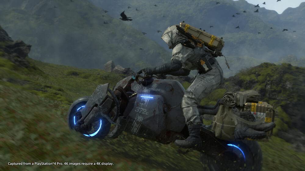 Sony Interactive Entertainment Death Stranding Standard PlayStation 4