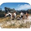 Horses 3D View-Master 3 Reel Set