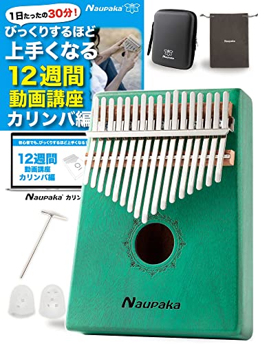 【在庫残り4台！】Kalimba Go カリンバゴー　17キー ナビゲーション付 在庫残り4台！】Kalimba Go カリンバゴー 17キー ナビゲーション