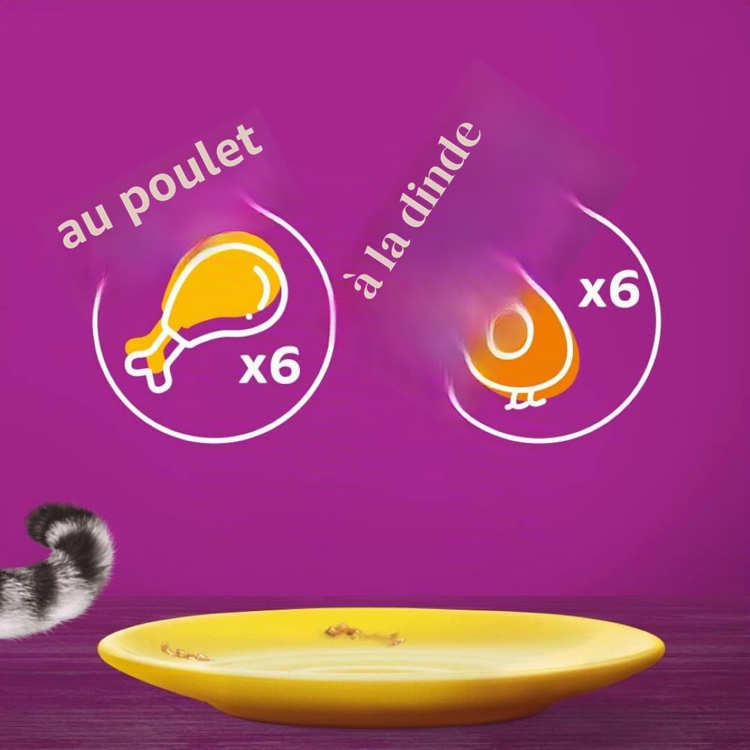 Whiskas Senior 11+ Nourriture Humide pour Chat volaille au Choix en gelée, 48 sachets portions, 12 x 85 g (Lot de 4) – Nourriture Humide de Haute qualité pour Chats à partir de 11 Ans