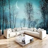Foresta Vista Notturna Carta Da Parati 350 x 256 cm 3D Luna FotoMurale Non Tessuto Murale Adatta per la decorazione di pareti di camera da letto, soggiorno e ufficio W-302