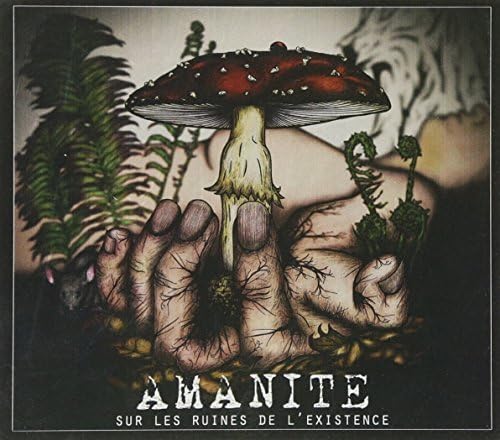 Sur Les Ruines De L'Existence [Audio CD] Amanite