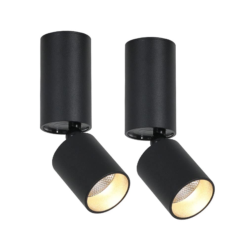 Spot de plafond rotatif led idéal pour illuminer l'îlot de cuisine et le salon