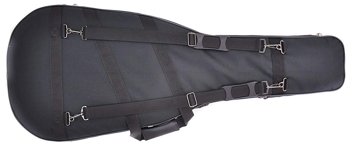 Amazon | 【国内正規品】 HOSCO ホスコ アコースティックギター