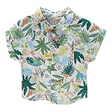 camisas hawaianas para niños en guadalajara El top característica con manga corta y cuello vuelto Collar, cierre de botones en la parte delantera, fácil de poner o quitar