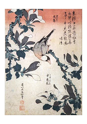 Hokusai Sparrow Magnolia affiche artistique japonaise format medium impression semi-brillant