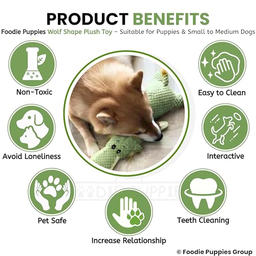Image of Foodie Puppies Interactive Dog Squeaky Plush Toy (Green Wolf) | Crinkle Paper, Cotton-Stuffed, Chew Toy for Teething, Cuddling, Playing & Training for Puppies and Small to Medium Dogs