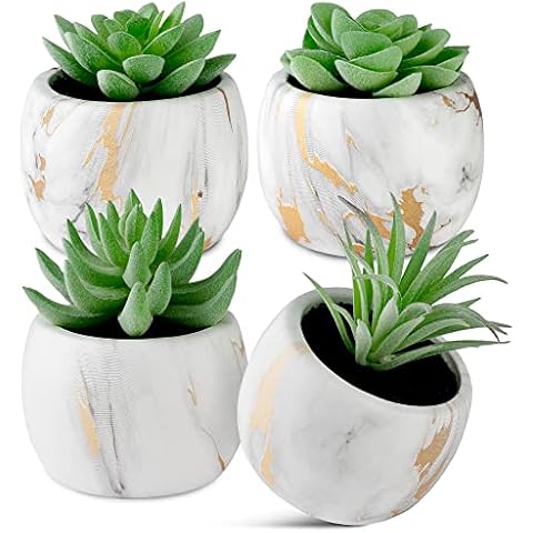 Plantas artificiales con maceta de cerámica GOZZA Cover