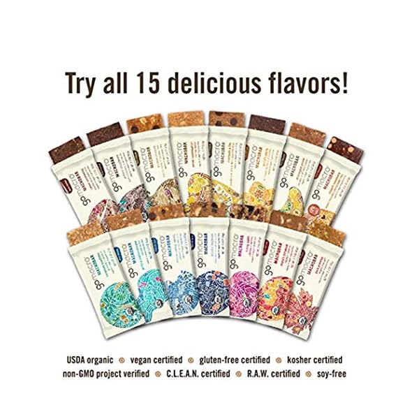 GoMacro Macrobar Organic Vegan Protein Bars - Blueberry + Cashew Butter (2.3 Ounce Bars (Pack of 12)