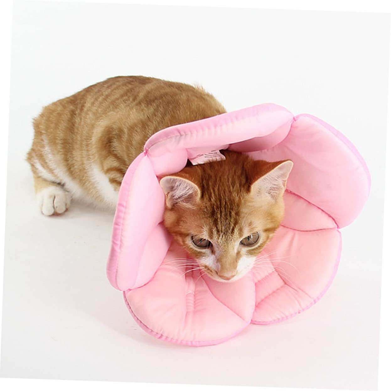 Toddmomy Collier Élisabéthain Forme De Fleur pour Chiens Et Chats Collerette De Anti-léchage Rose