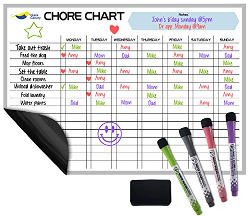 Magnetic Chore Chart for Kids - 17x12 Dry Erase Chore...