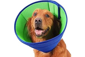 Kong EZ Soft E-Collar: Neck Support and Wound Protection for Post-Surgery Canine Recovery