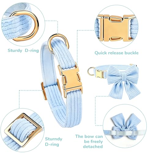 Collar para perro terciopelo azul talla S ajustable miniatura 3