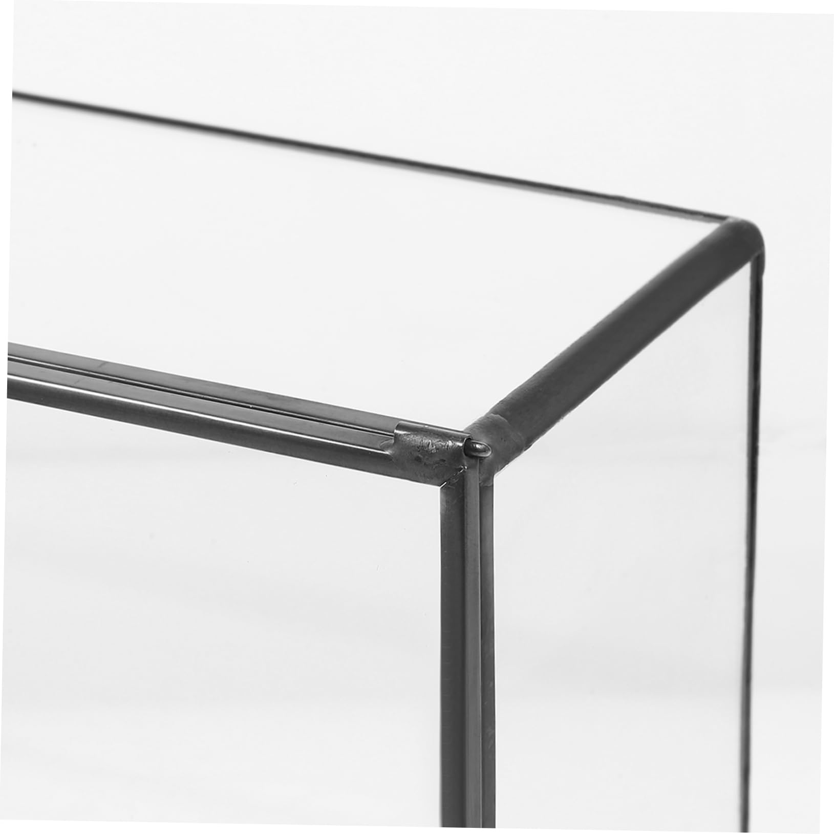 Terrario in Vetro per Micro Paesaggio, Contenitore Decorativo