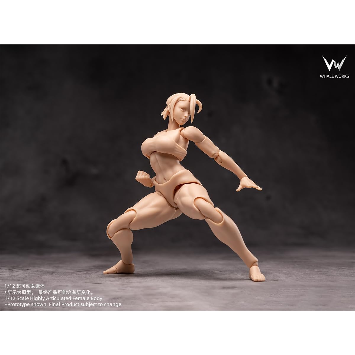 Amazon.co.jp: HiPlay 鯨工房 1/12 女性 素体 凛 RIN 黄肌 WW02-B