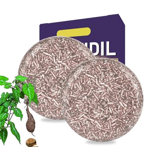 Shampoing Cheveux Blanc Solide Au Polygonum,Shampooing Colorant cheveux Blancs,Reverse Gray Hair Shampoing Solide,Anti Cheveux Blanc Savon Noir Cheveux,Anti Gray Bar Black Soap pour Naturel Doux (2PC)